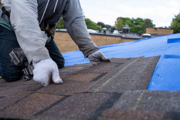 Best Storm Damage Roof Repair  in Weissport East, PA